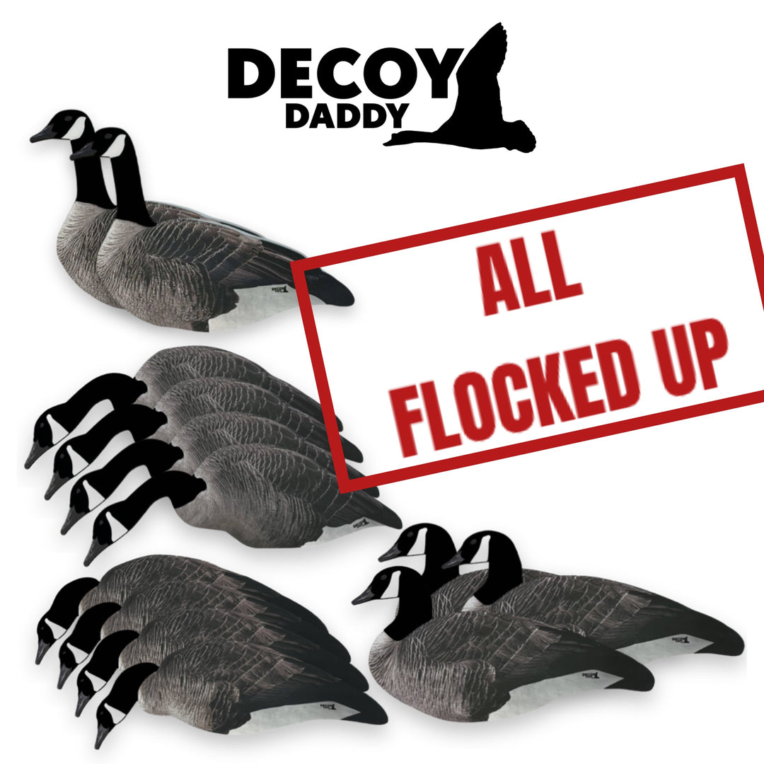 Daddy’s Dirty Dozen Fully Flocked