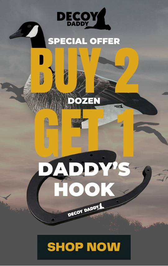 Buy 2 get 1 Hook