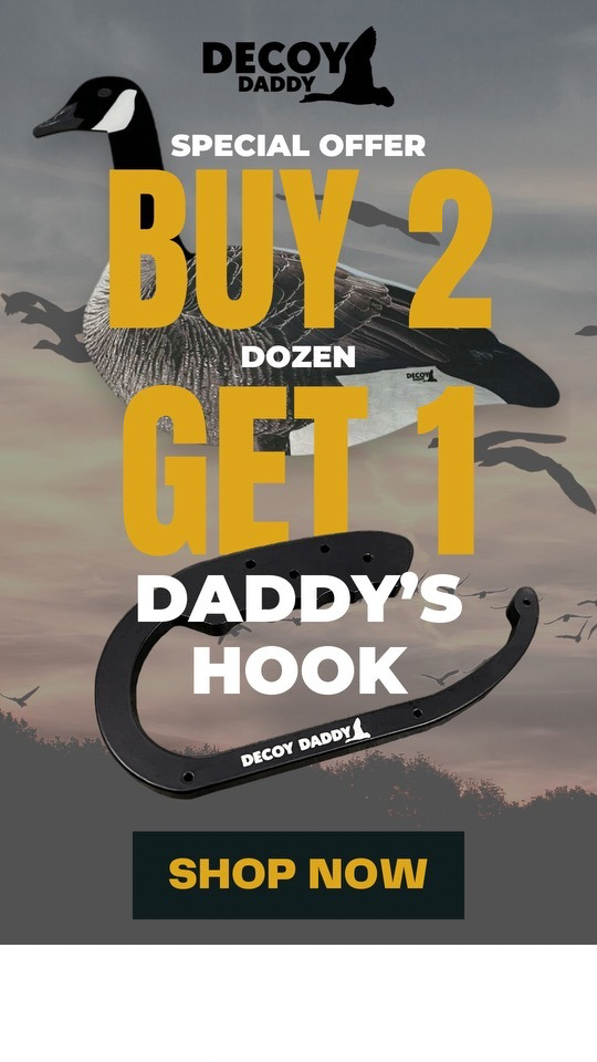 Buy 2 get 1 Hook