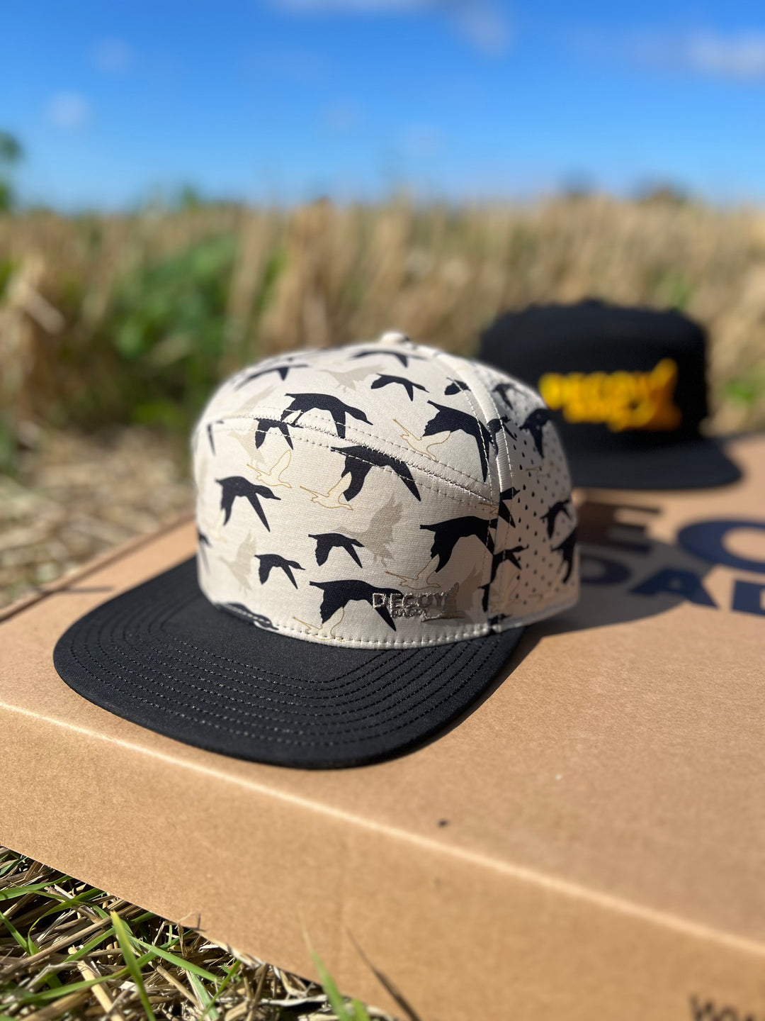 DUCAMO Snap Back