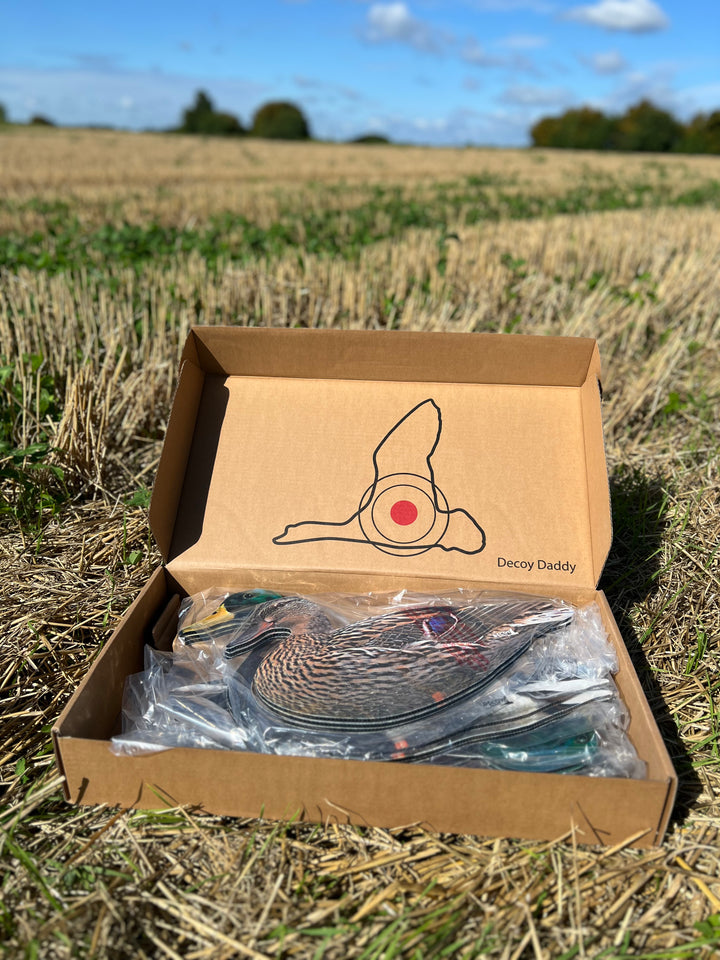 Daddy’s Duckin’ Dozen Mallard - Fully Flocked